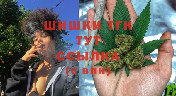 PSILOCYBIN Белоозёрский