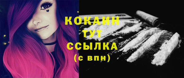 хмурый Богородицк