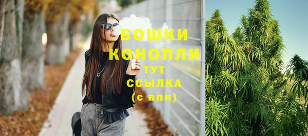 гашик Сатка