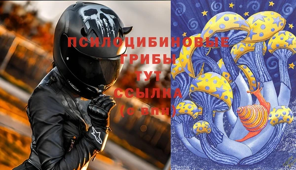 хмурый Богородицк